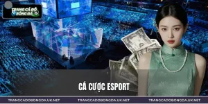 Cá Cược Esport 2026 | Xu Hướng Giải Trí Số Đang Bùng Nổ